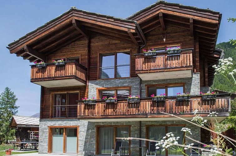 Appartement Top Ferienwohnung Dom (SkiIn/SkiOut)