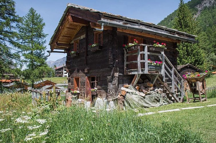 Appartement Top Ferienwohnung Dom (SkiIn/SkiOut)