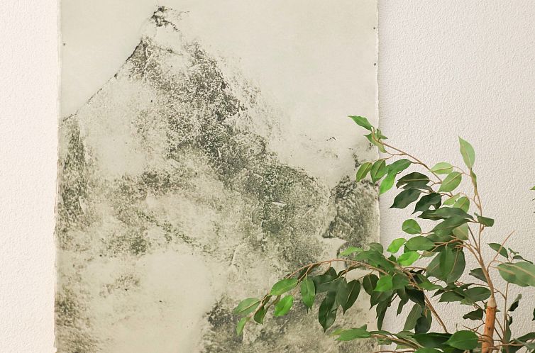 Appartement Matten (Utoring)