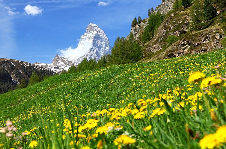 Appartement Patricia self-check-in Apartments, (Zermatt),