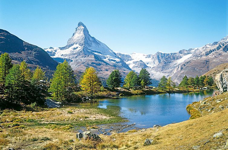 Appartement Patricia self-check-in Apartments, (Zermatt),