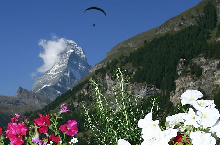 Appartement Apartments Patricia, (Zermatt),