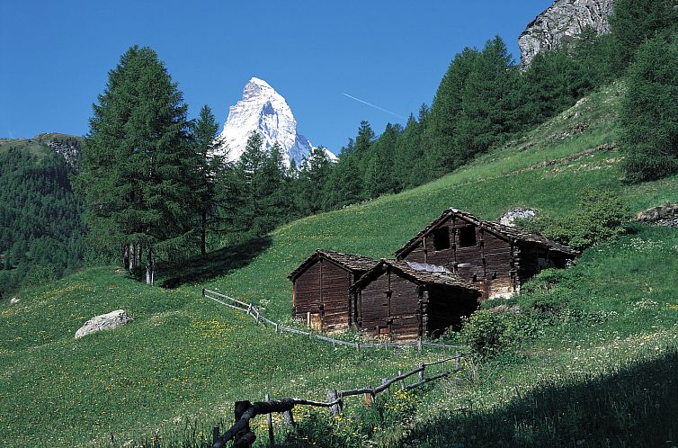 Appartement Apartments Patricia, (Zermatt),