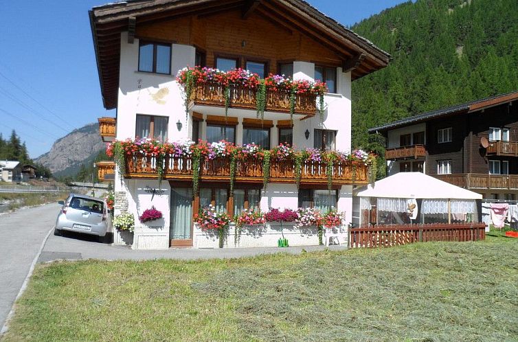 Appartement Haus Falke Appartement/Fewo 6-Bettwohnung