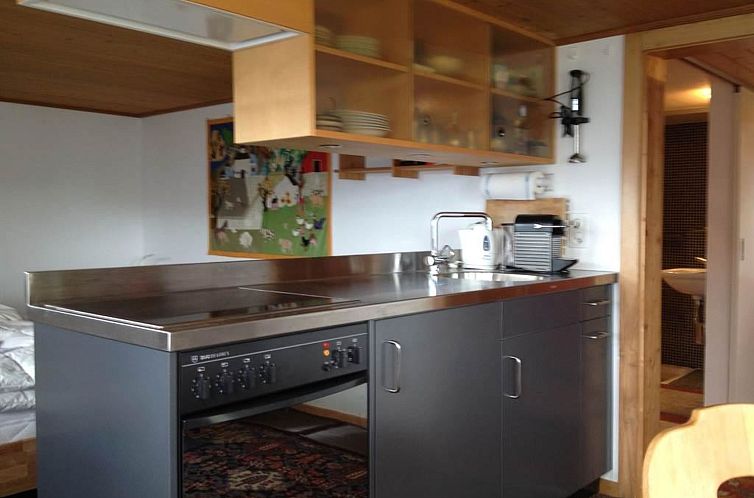 Appartement Sunneschy EG Süd