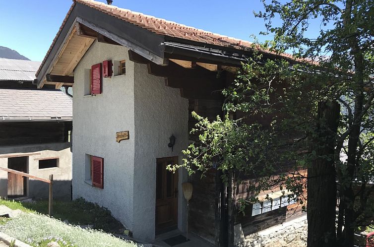 Appartement Chalet Walker auf der Riederalp