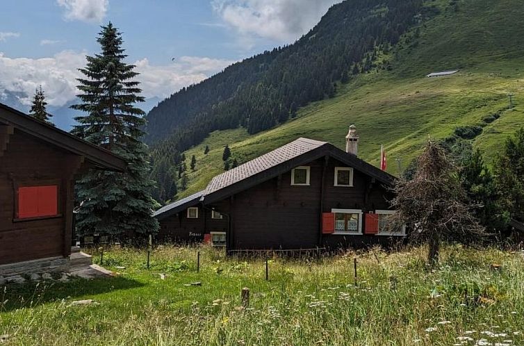 Appartement Chalet Walker auf der Riederalp