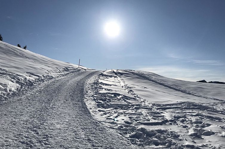 Appartement Almenrausch 1. OG Süd-Ost