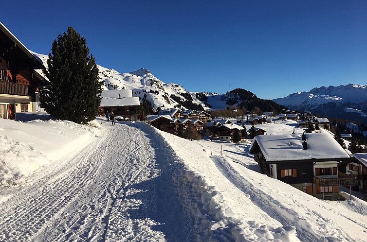 Appartement Almenrausch 2. OG Süd-West