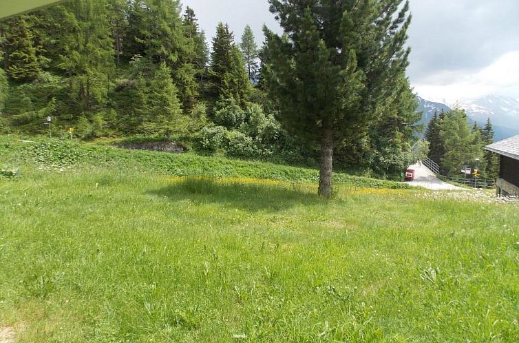 Appartement Abendrot EG Süd-West