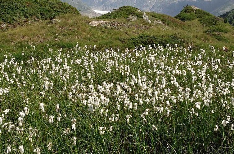 Appartement Abendrot EG Süd-West