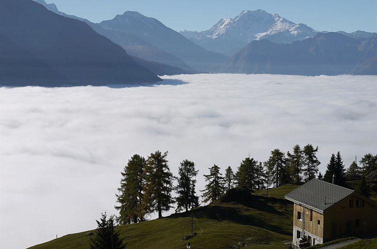 Appartement Amiel EG Süd