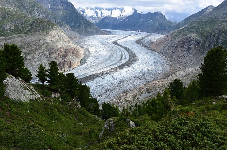 Appartement Südlenz 22 2. OG Süd