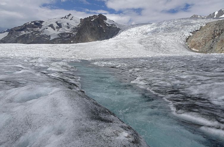 Appartement Südlenz 1 EG Süd-Ost