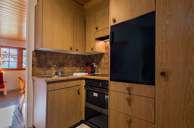 Appartement Südlenz 1 EG Süd-Ost