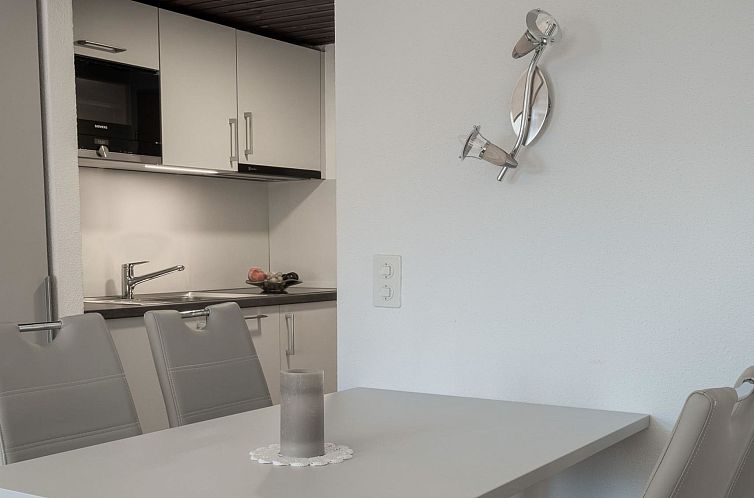 Appartement Zurschmitten 12 1. UG Süd