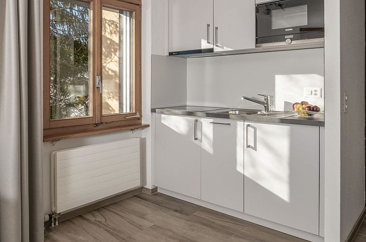 Appartement Zurschmitten 12 1. UG Süd