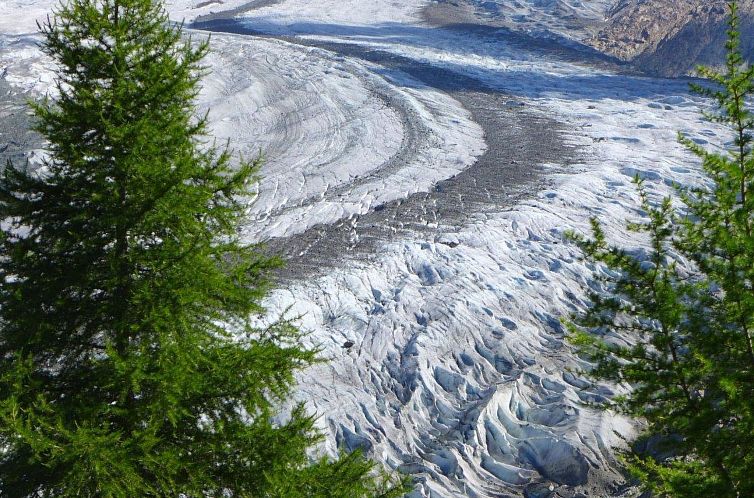 Appartement Amici 1. OG West