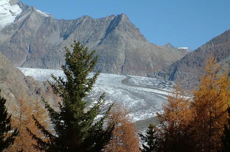 Appartement Amici 1. OG West