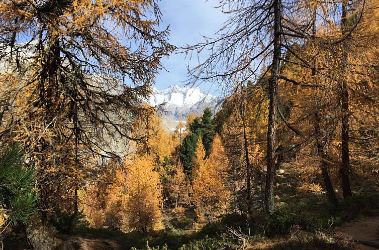 Appartement Amici 1. OG West