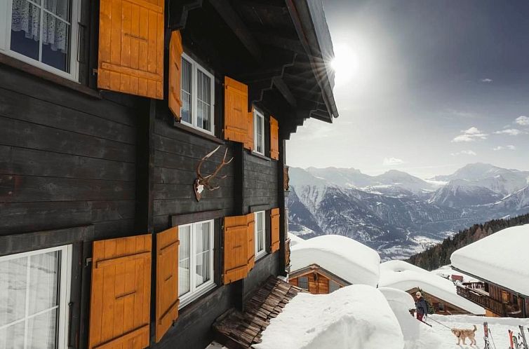 Appartement Chalt "Arve"