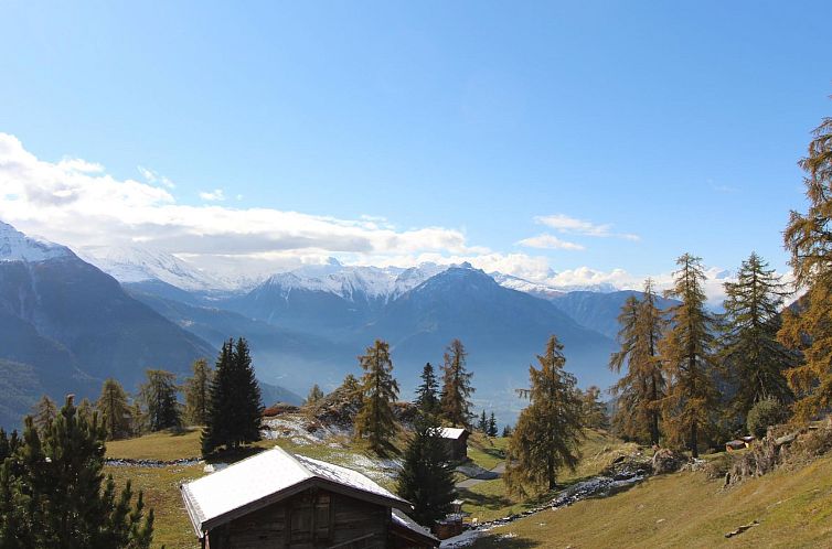 Appartement Jonathan EG Süd