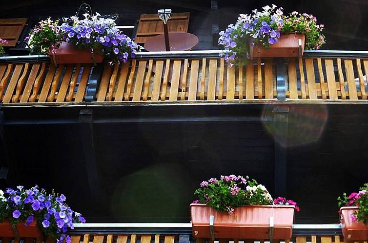 Appartement Chalet "Arve"