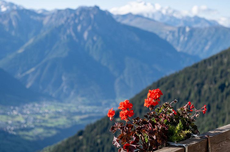 Appartement Zurschmitten 11 2. UG Süd