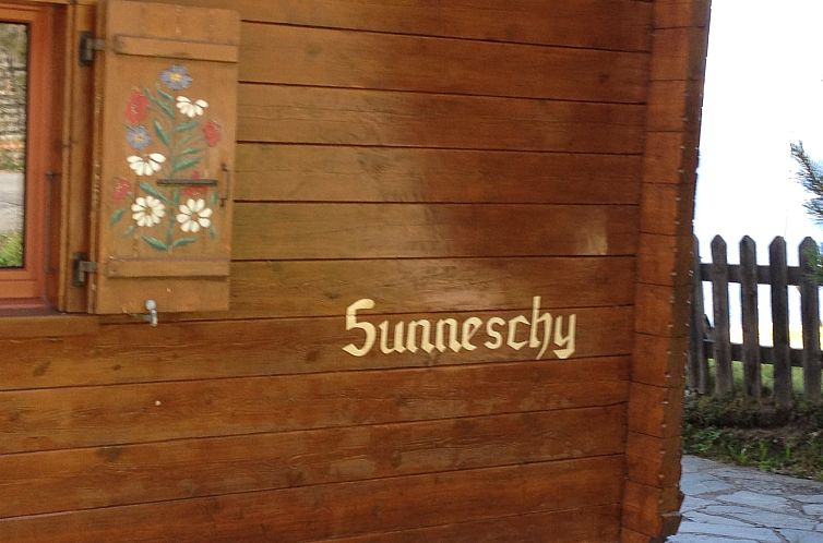 Appartement Sunneschy 1. OG Süd Appartement/Fewo, Dusche, W