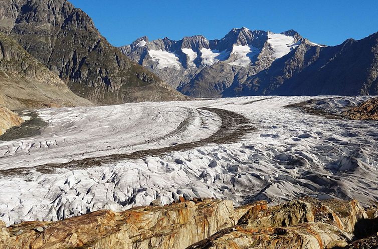 Appartement Südlenz 41 4. OG Süd Studio, Dusche, WC 1 Zimm