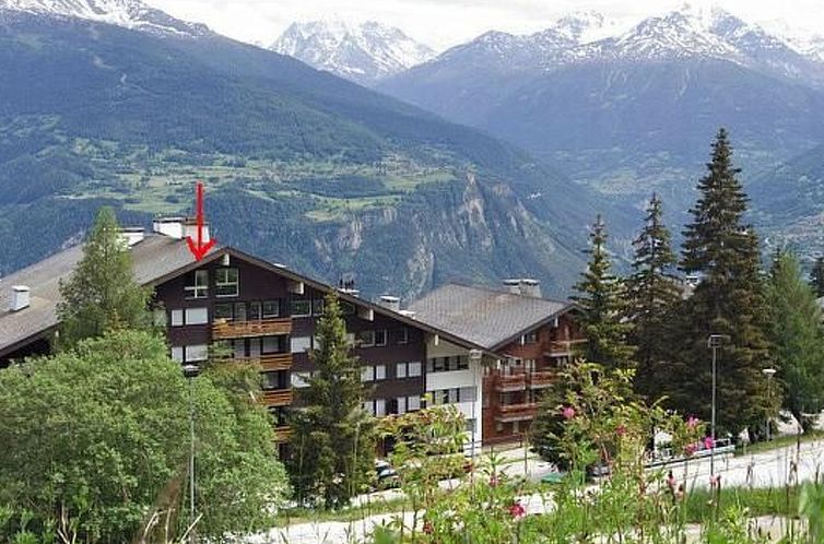 Unterkunft 1844201 - Appartement Wallis - Appartement Ski-in Wohnung in Anzere mit Parkplatz