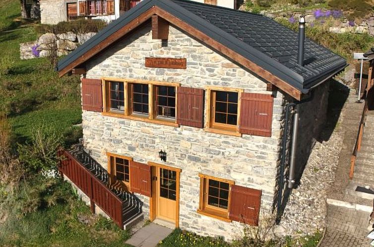 Vakantiehuis Tiny House facing the Alps - Ski in and out