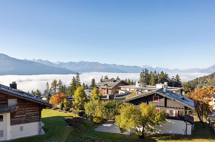 Appartement Les Aiguilles Vertes Rez inférieur