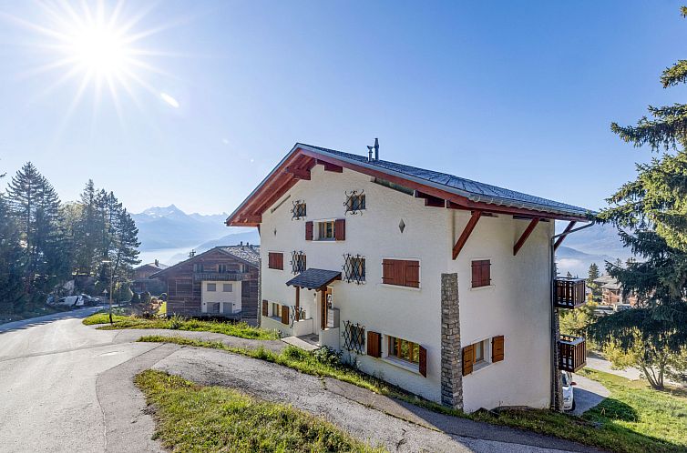 Appartement Les Aiguilles Vertes Rez inférieur