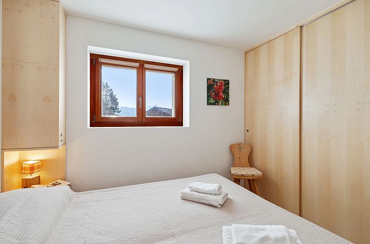 Appartement Les Aiguilles Vertes Rez inférieur
