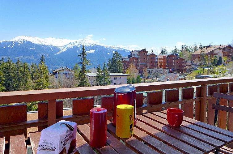 Appartement Andrea A 10