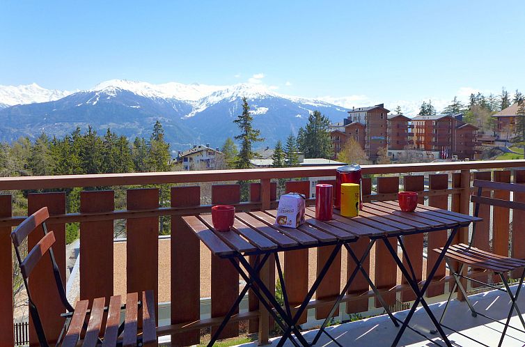 Appartement Andrea A 10