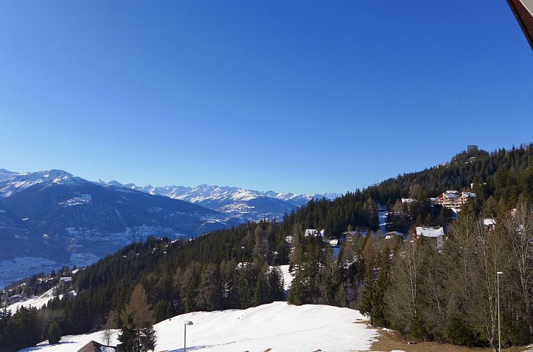 Appartement Clairière des Barzettes B16