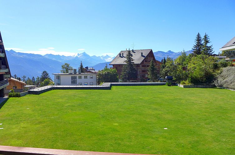 Appartement Victoria B 7