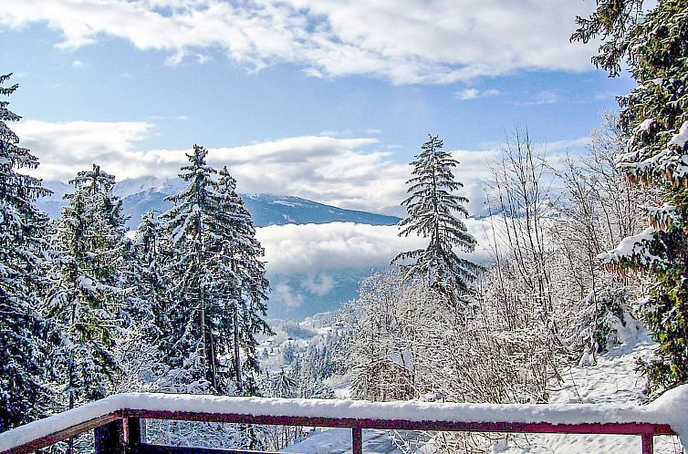 Appartement Yuca B Apt. 28