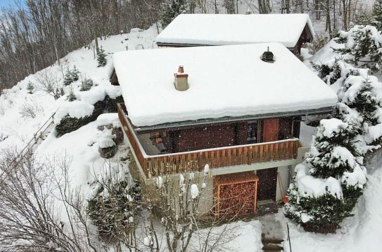 Vakantiehuis Mirador Alpine Horizon -Crans Montana- Swiss Al
