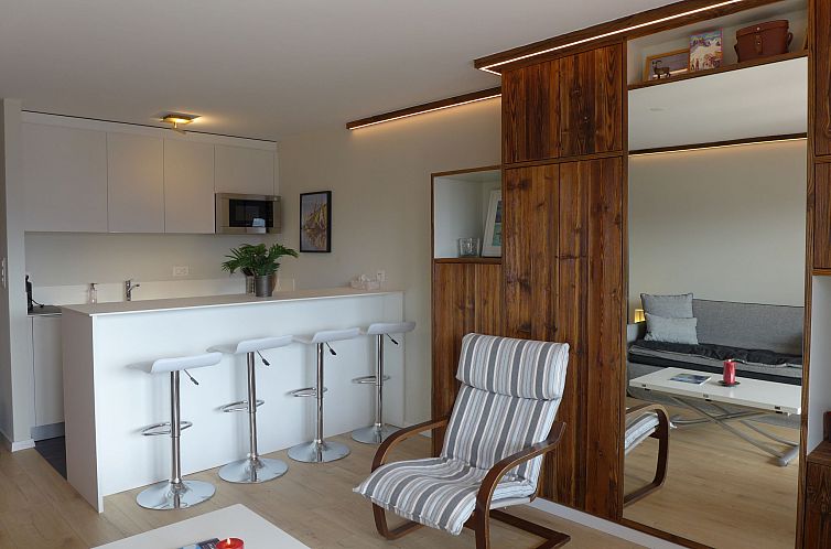Appartement Elysée 29