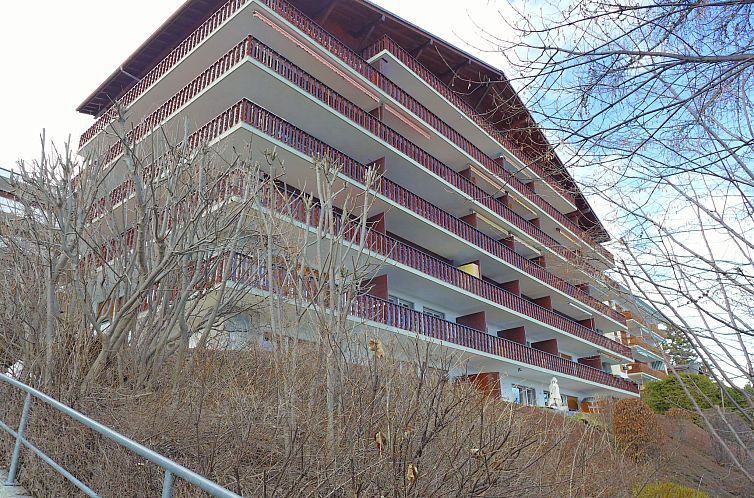 Appartement Elysée 29