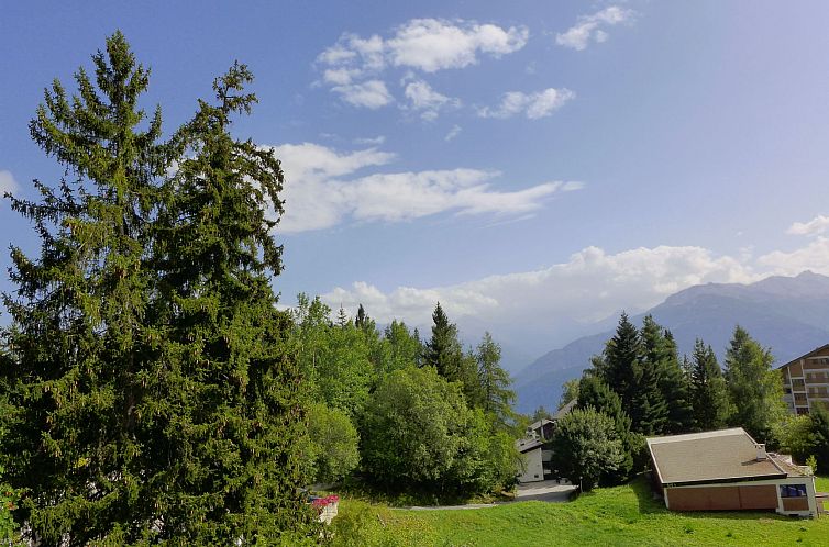 Appartement Barzettes-Vacances 558 / Entrée N° 18