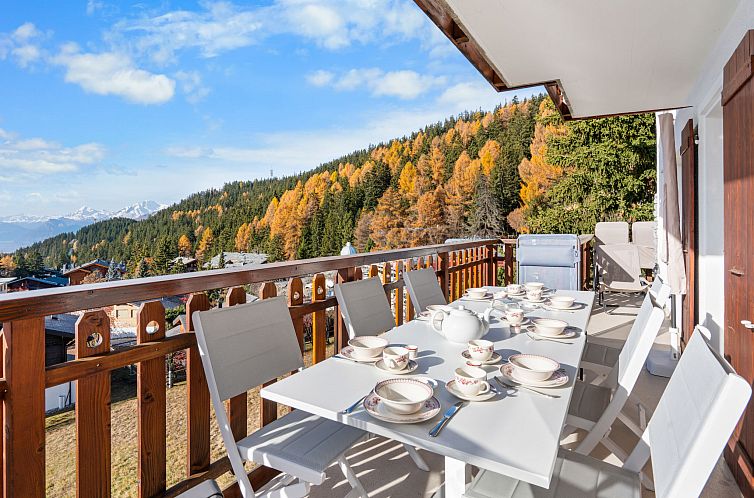 Appartement Les Aiguilles Vertes Rez supérieur