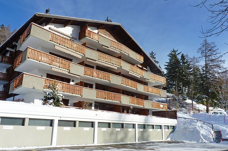 Appartement Domino B 48