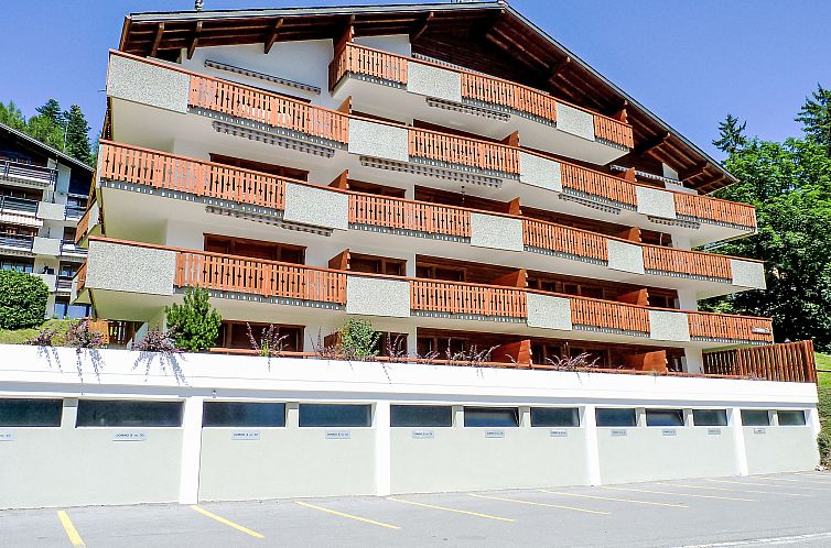 Appartement Domino B 48