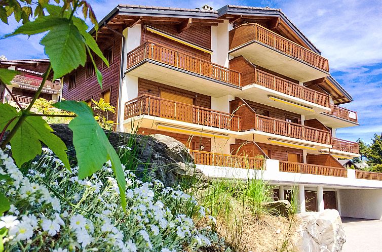 Appartement Viognier 5