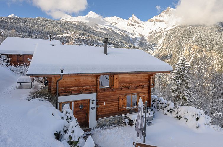 Vakantiehuis Ecureuil noir