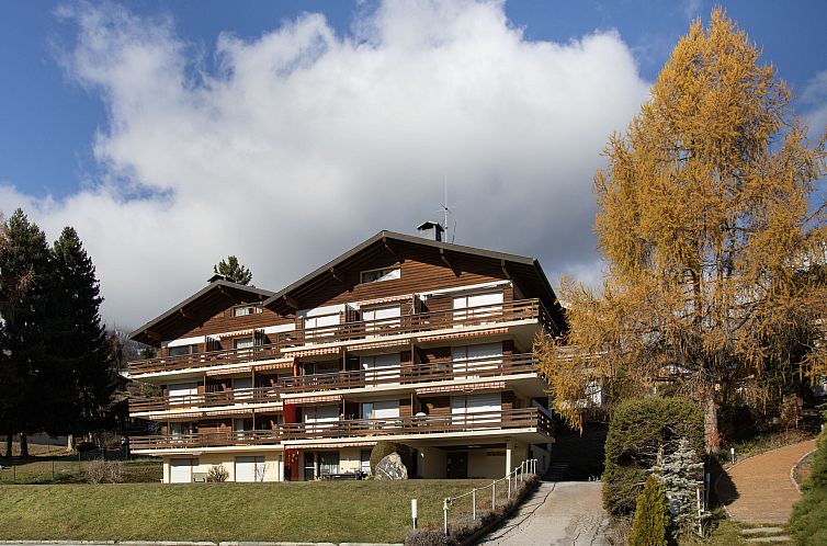 Appartement Beau Site 4